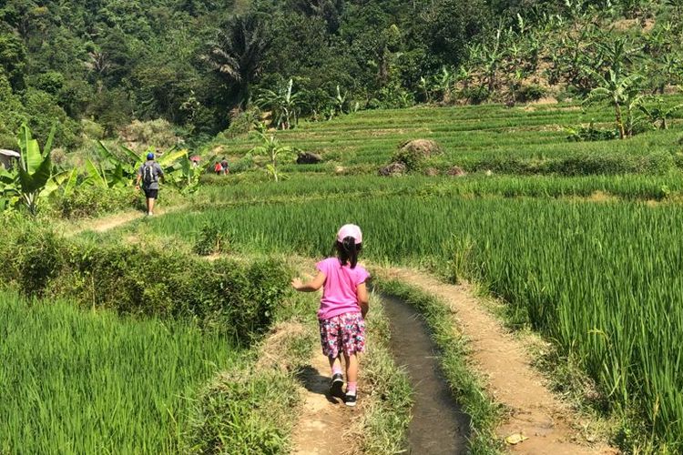 Salah satu jalur trekking di Leuwi Hejo, Bogor, Jawa Barat