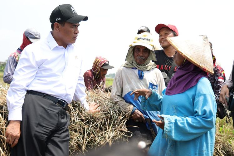 Harga Hasil Panen Menguat, Amran Janji Jaga Keuntungan Petani