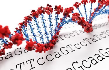 Ilustrasi studi genom, sekuensing genom DNA virus corona.