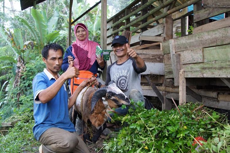 Peternak kambing asal Kecamatan Kalapanunggal, Sukabumi, Jawa Barat (Jabar) bernama Husein atau Kang Uceng melakukan quality control terhadap hewan kurban yang dilakukan di banyak titik lokasi di Kecamatan Kalapanunggal, Sukabumi,