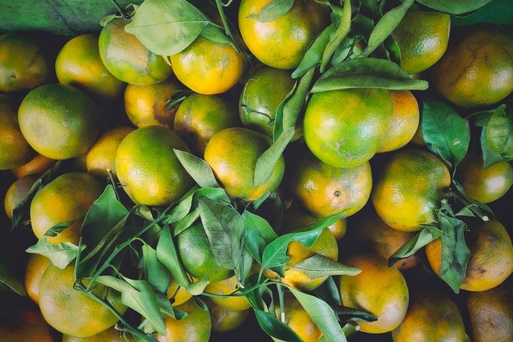 Ilustrasi buah jeruk keprok.