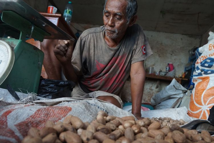 Seorang penjual pala di salah satu pasar tradisional di Fakfak Papua Barat. Pala menandingi komoditas utama masyarakat Fakfak