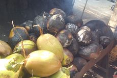 Manfaat Kelapa Bakar, Apa Bedanya dengan Diminum Langsung?