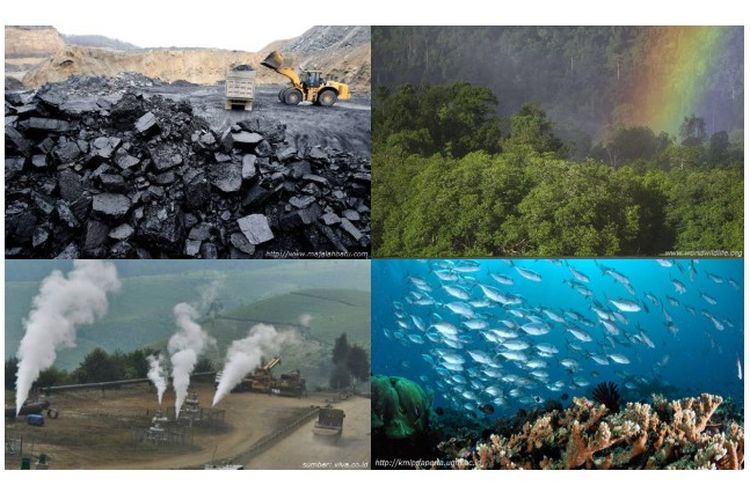 Potensi sumber daya alam (SDA) Indonesia meliputi hutan, lautan, minyak bumi, gas alam, dan batu bara.