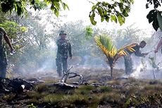 Kabut Asap Tak Pengaruhi Pariwisata