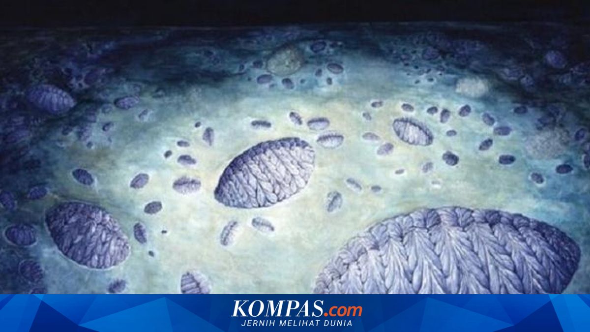 Inikah Makhluk Pertama di Bumi yang Mengenal Seks?