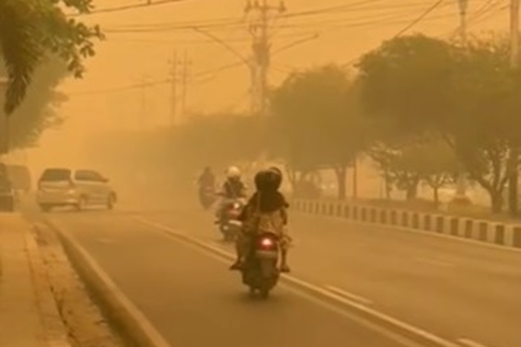 Langit Palangka Raya Menguning, BMKG: Asap Sangat Pekat, Sinar Matahari Tidak Tembus