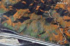 Bunga Liar Bermekaran di California, Terlihat Indah dari Foto Satelit
