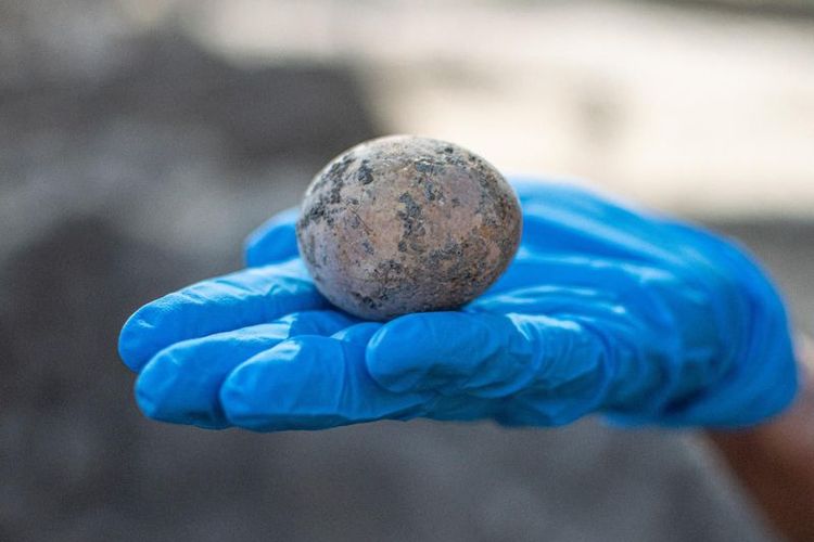 Telur ayam yang ditemukan di zona industri kota kuno Yavneh, Israel 
