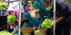 Kementan Sebut P2L Dapat Tingkatkan Kecukupan Pangan dan Gizi Masyarakat