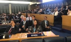 Indonesia Jadi Anggota Dewan FAO, Guru Besar IPB: Bisa Bantu Perbaikan Data Pertanian