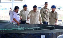 Dukung Program MBG, Kementerian KP Siapkan Panen Siklus Kedua BINS