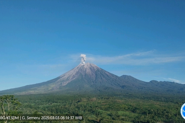 Gunung Semeru Alami Erupsi 7 Kali, Semburkan Asap Setinggi 700 Meter