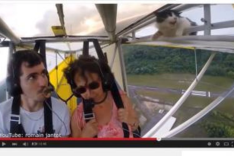 Kucing yang naik pesawat paraglider