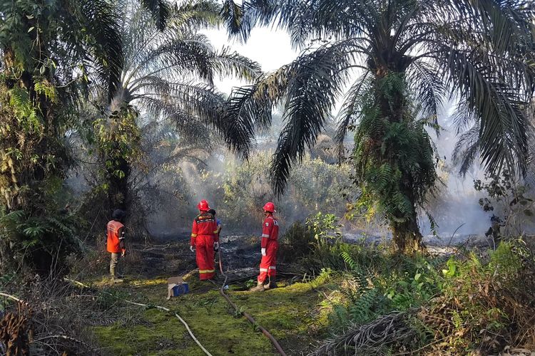 Bantu Padamkan Karhutla di Jambi, PetroChina Turunkan Tim dan Peralatan