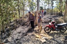 Diduga Akibat Pembakaran Sampah, Lahan di Kulon Progo Terbakar