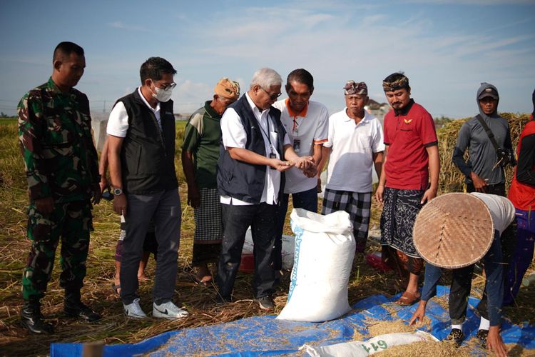 Bulog membentuk Tim Jemput Gabah di tingkat wilayah hingga cabang untuk dapat langsung membeli gabah di tingkat petani serta membentuk posko pengadaan di tingkat gudang.