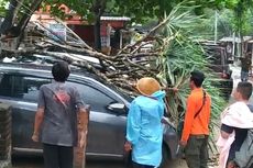 Hujan Deras dan Angin Kencang di Kawasan Pantai Gunungkidul, Mobil Pengunjung Tertimpa Pohon hingga Atap Gazebo Rusak