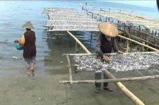 Dilema Pengusaha Ikan Kering di Tengah Tingginya Harga Garam