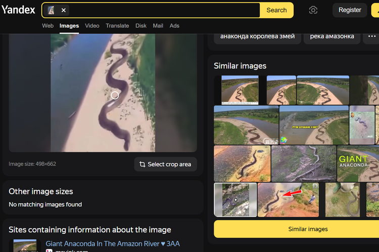 Tangkapan layar pencarian gambar di Yandex soal ular sepanjang 50 kaki di Kongo.