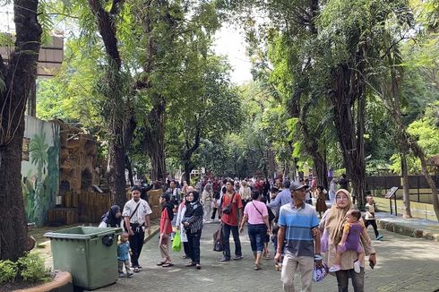 Puncak Wisatawan KBS Hari Minggu, Diperkirakan Capai 60.000 Orang 