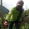 Cuaca Ekstrem Buat Petani Magetan Ganti Tanaman Cabai dengan Sayur