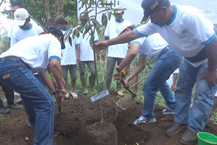 Penanaman bibit pohon di Desa Wonomerto, Kecamatan Wonosalam, Kabupaten Jombang, Jawa Timur, Rabu (28/11/2018). Penanaman dilakukan sebagai antisipasi longsor dan persiapan sebagai desa wisata petik pohon durian.