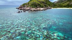 Ditinggal Kapal Pesiar, Nenek Meninggal Sendirian di Pulau Terpencil