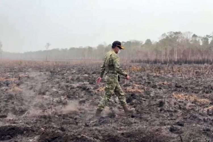 Kepala BNPB Pantau Kebakaran TN Way Kambas, 30 Hektar Masih Terbakar