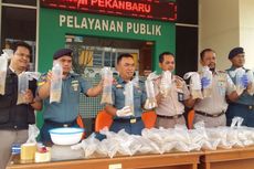 TNI AL Dumai Gagalkan Penyelundupan 10.000 Ekor Baby Lobster ke Singapura