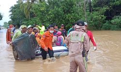 Hindari Risiko Kerugian akibat Banjir, Kementan Ajak Petani Manfaatkan Asuransi Pertanian