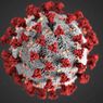 Jika Pemerintah Izinkan Mudik, Penularan Covid-19 Berpotensi Meningkat karena Ada Varian Baru Virus Corona