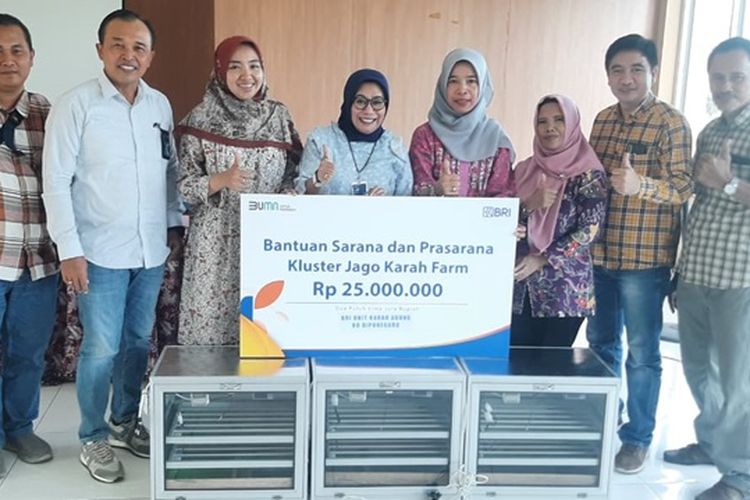 Kelompok usaha peternakan ayam, Jago Karah Farm (JKF) menerima bantuan sarana dan prasana dari program pemberdayaan BRI ''Klasterku Hidupku''.