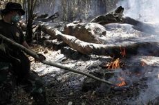 Penyidikan Polri Jadi Pintu Masuk Kementerian Cabut Izin Perusahaan Pembakar Hutan