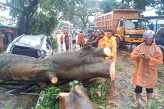 Mobil Tertimpa Pohon, Klaim Asuransi Bisa Ditolak