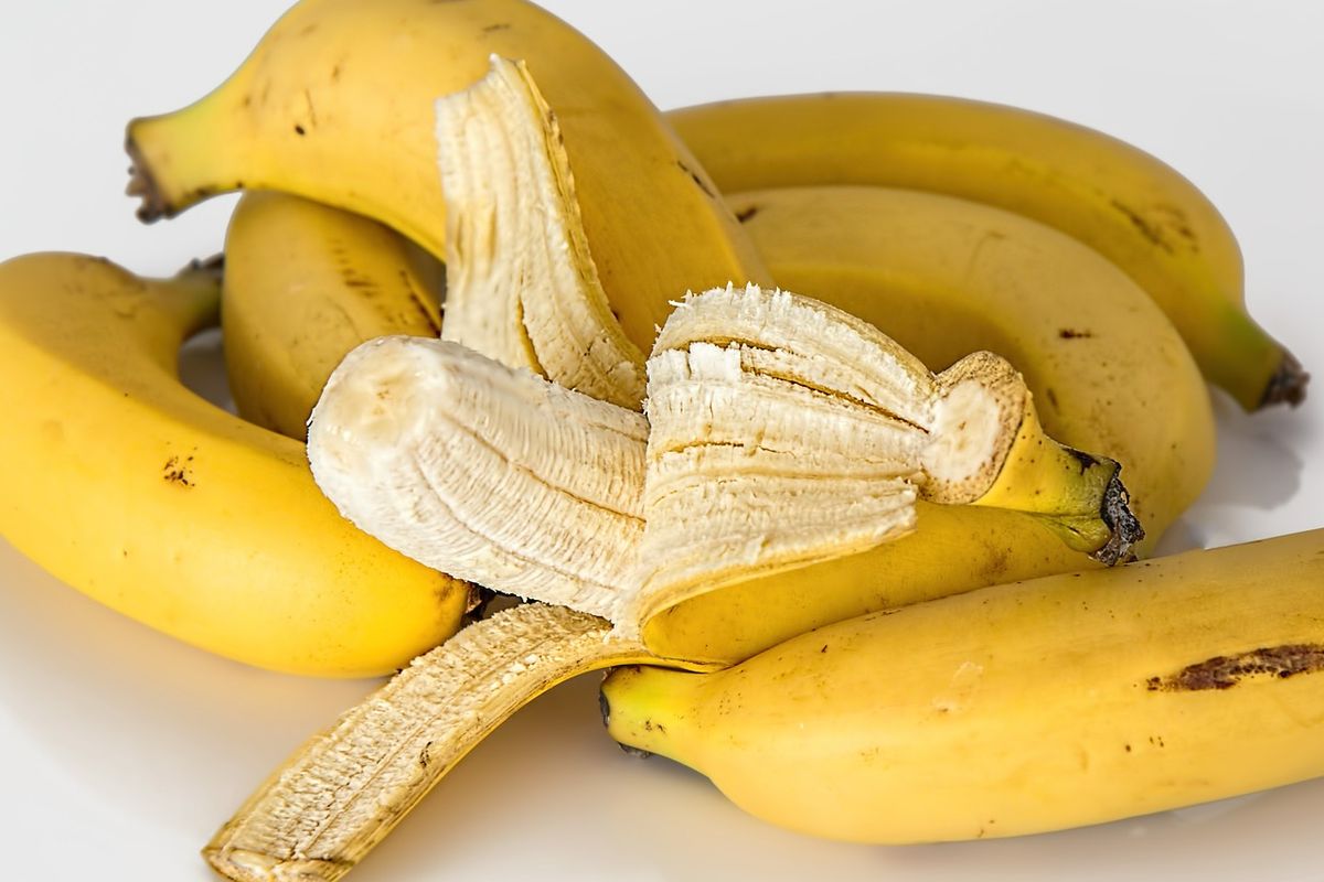 Ilustrasi pisang, buah pisang raja