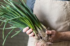 Tertarik Budidaya Daun Bawang di Polybag? Begini Caranya