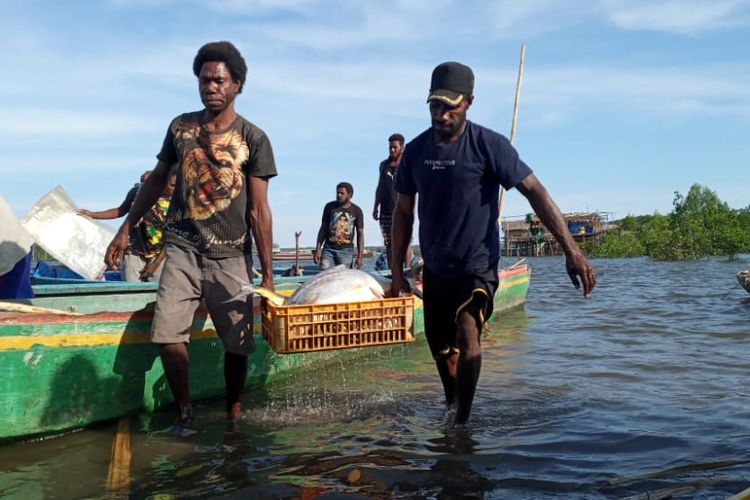 Dua orang nelayan, saat mengangkut ikan dari perahu motor di pelabuhan Kampung Poumako, Distrik Timika Timur, Kabupaten Mimika, Papua, Rabu (06/04/2022).