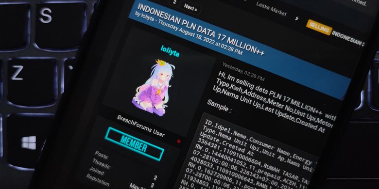 Ilustrasi data 17 juta pelanggan PLN diduga bocor dan dijual di forum online.