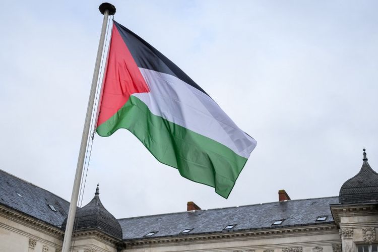 Laga Irlandia vs Austria Terhenti Dua Kali Imbas Aksi Protes Pro-Palestina