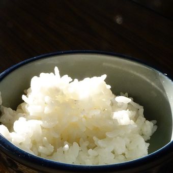 Deskripsi nasi putih. 