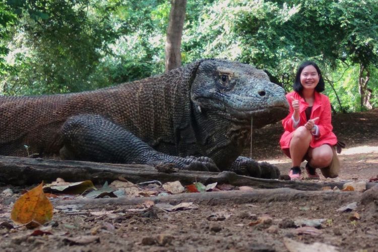 Wisatawan berpose dengan komodo dalam jarak aman yang ditentukan ranger.