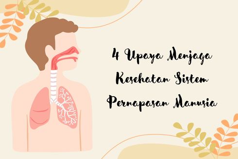 4 Upaya Menjaga Kesehatan Sistem Pernapasan Manusia