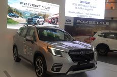 Subaru Ajak Pencinta Hewan Mengenal Forester