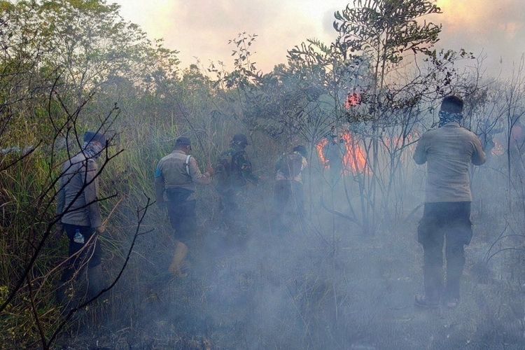 Way Kambas Kebakaran, Bagaimana Nasib Gajah dan Siapa yang Diduga Membakar?