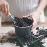 Simak, Ini Cara Memilih Tanah Pot 