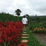 Tamansuruh, Tempat Wisata Pertanian di Banyuwangi yang Sudah Siap Taati Protokol Kesehatan