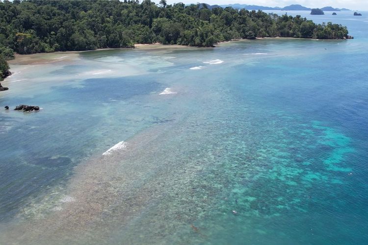 Wilayah buka sasi di Kampung Kapatcol, Distrik Misool Barat, Kabupaten Raja Ampat.