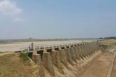 Air Waduk Surut, Belasan Ribu Hektar Sawah di Madiun Terancam Kering