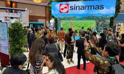 Kebijakan dan Pilar Usaha Sinar Mas Dukung Upaya Dekarbonisasi
